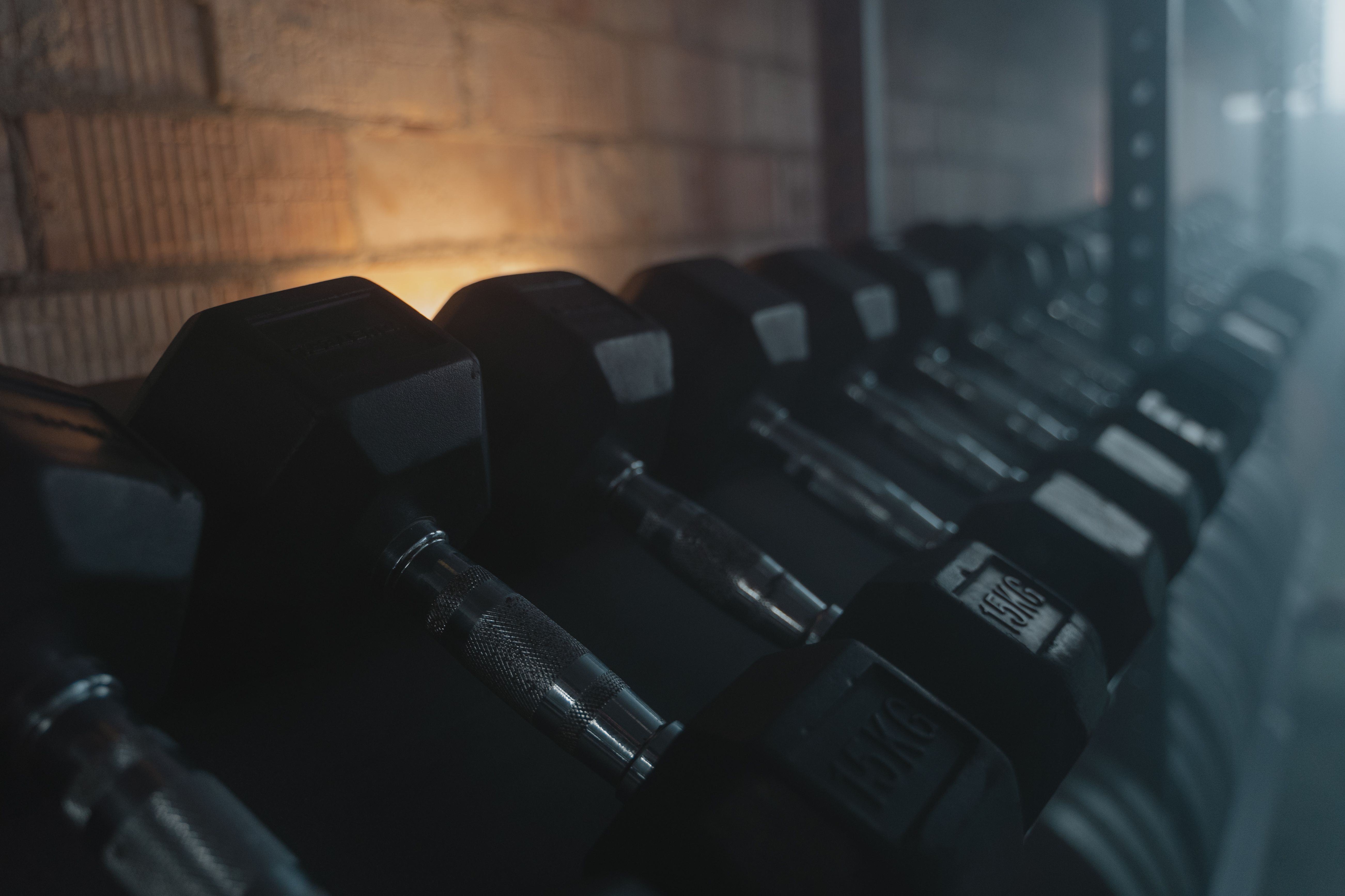 Dumbbells on a rack in a gym